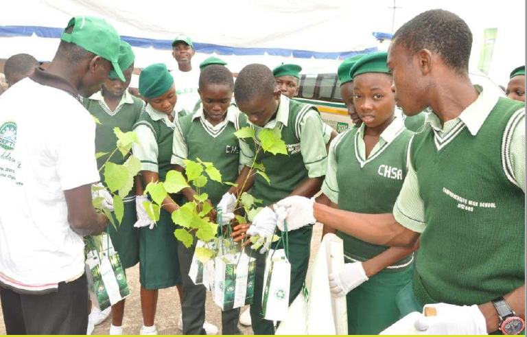 Youth environmental education